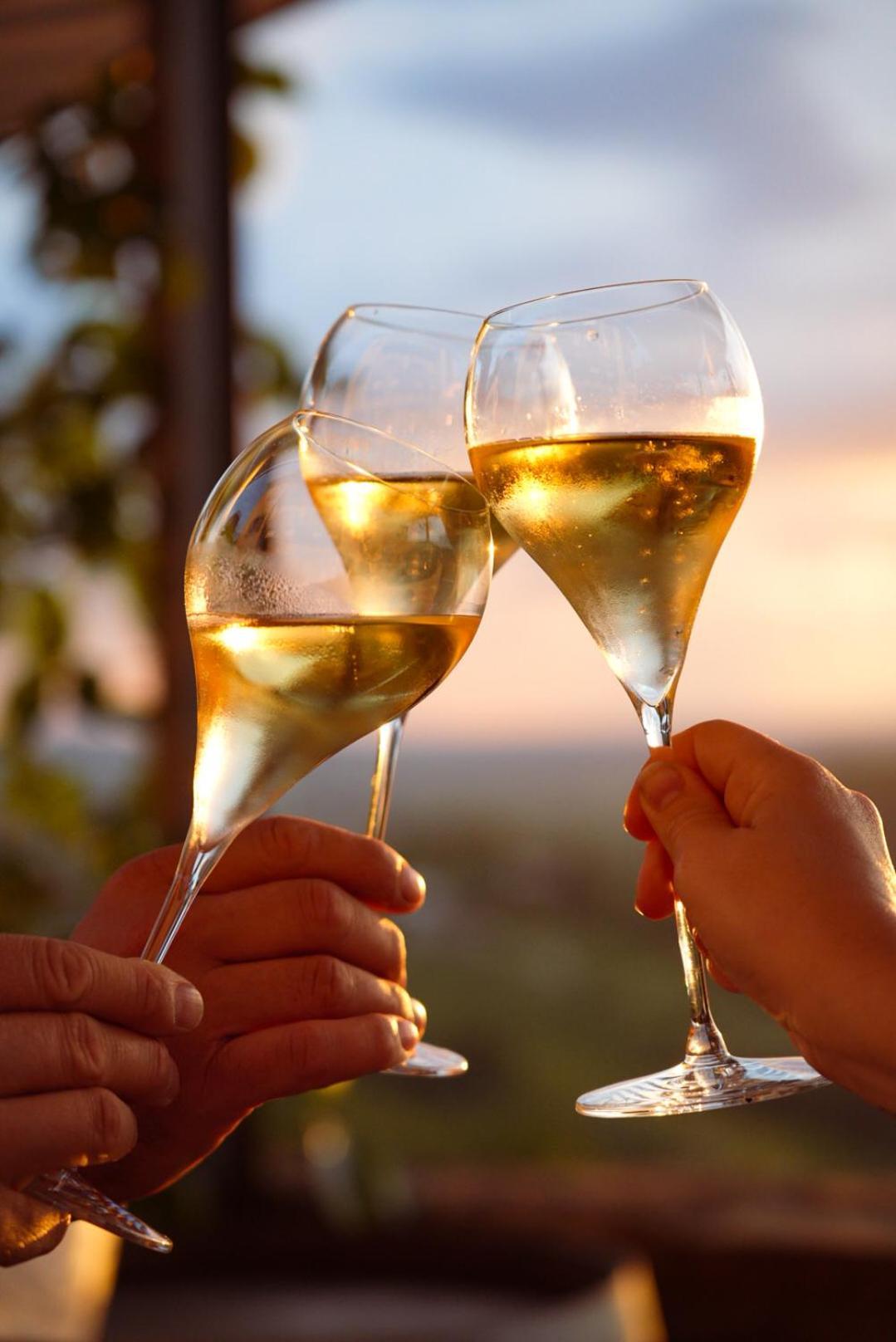 Pikol Lake Village Wine Estate Нова-Горица Экстерьер фото