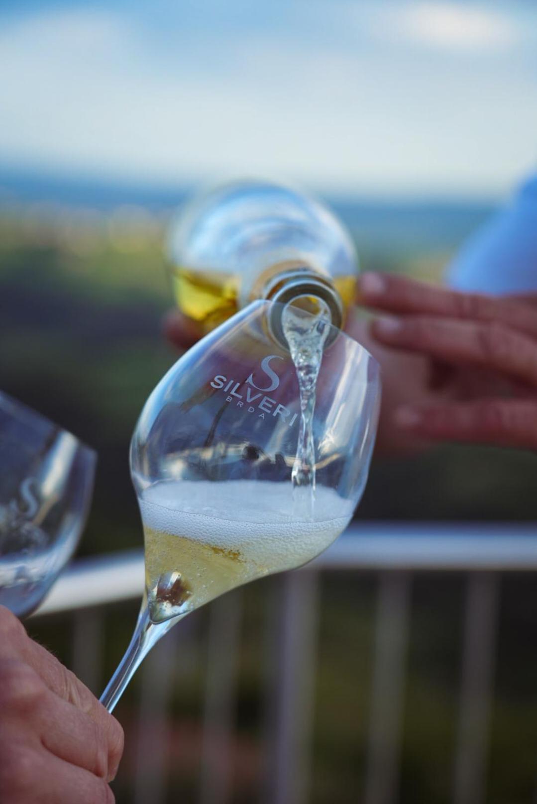 Pikol Lake Village Wine Estate Нова-Горица Экстерьер фото